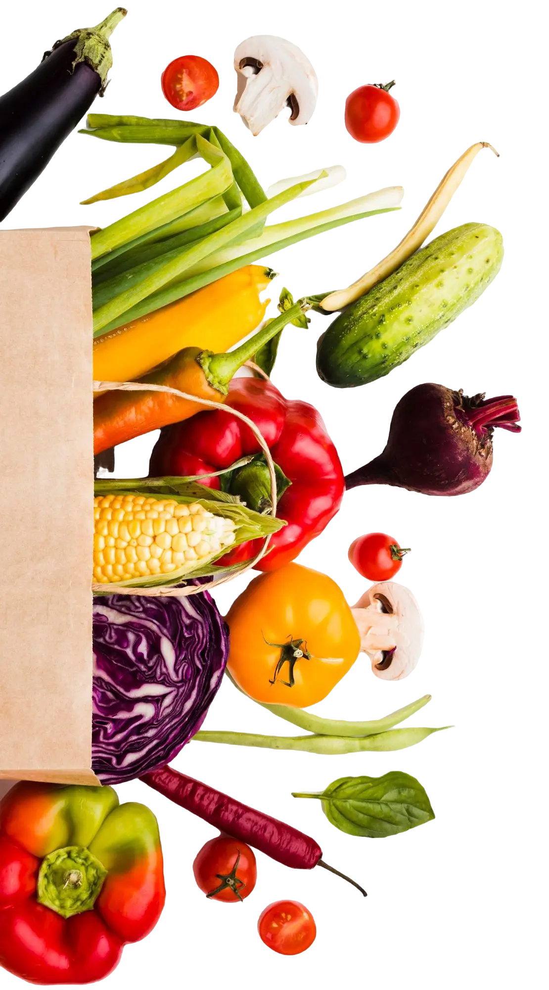 Decorative food 1